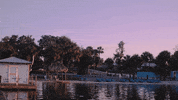 FIU summer nature calm camp GIF