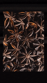Spiced Rum Autumn GIF by Art in the Age Spirits