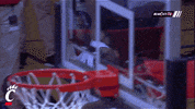cincinnati bearcats confusion GIF by University of Cincinnati Athletics