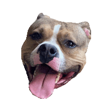 Big Dog Sticker by Weld Realty