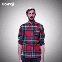 I Doubt It Leave Me Alone GIF by SWR3
