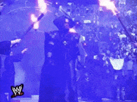 wrestlemania xiv wrestling GIF by WWE