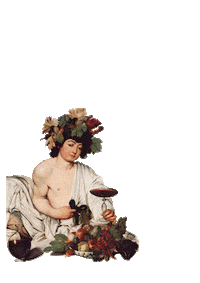 Canon Vin Sticker by Trafic bar