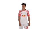 Oh No Eye Roll Sticker by RB Leipzig