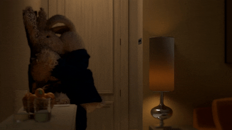 tv series bunny GIF by Zackary Rabbit