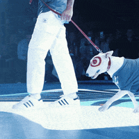 Minnesota United Sport GIF by Major League Soccer