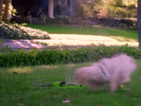 the adventures of pete and pete season number GIF