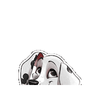 patrickundalex hey nala dalmatians dalmatiner Sticker