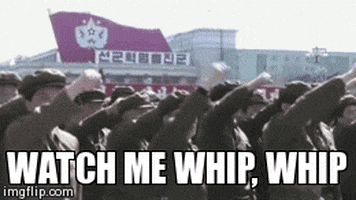 watch whip GIF