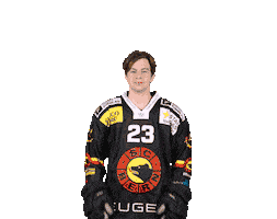 Lehmann Sticker by SC Bern
