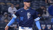 Lets Go Sport GIF by Kansas City Royals