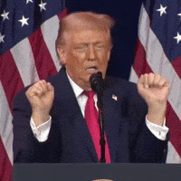 Donald Trump Usa GIF by Respective