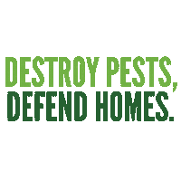 NaturesTurf bugs pestcontrol naturesturf homepestcontrol Sticker