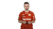 Bayer Leverkusen Fifa Sticker by Bundesliga