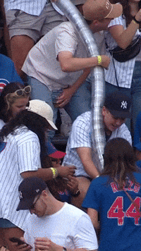 Fans Chicago GIF by YES Network