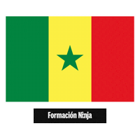 Flag Bandera Sticker by Formación Ninja