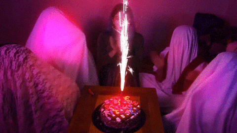 GIF by miranda