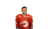 Ice Hockey Sticker Sticker by HC Oceláři Třinec