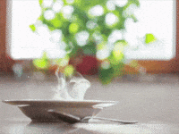 Pp 1 GIF by Perutnina Ptuj