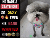 Gang Statement GIF