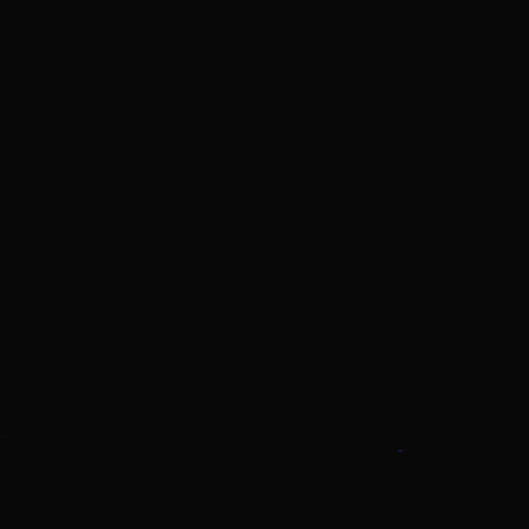 Chicago Illinois GIF by Respective