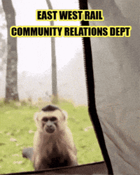 Monkeys GIF by Exposed Tech