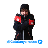 Sol Fred Sticker by catalunyadiari