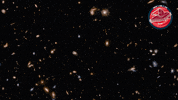 James Webb Nasa GIF by ESA Webb Space Telescope