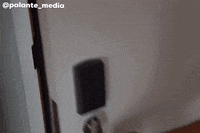 Trick Or Treat Reaction GIF by Martha of Miami