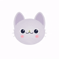 ivangulizia cat cartoon surprise look GIF