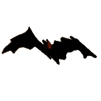 Heis Sticker by Rema