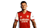 Celebrate Premier League Sticker by Arsenal