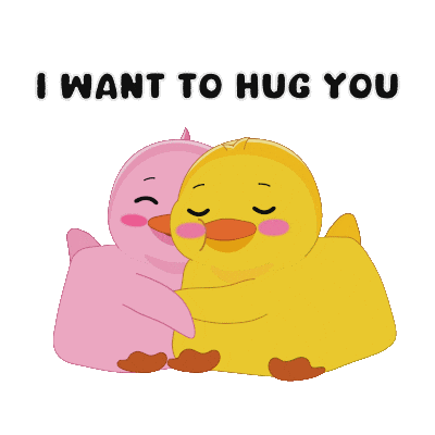 I Love You Hug Sticker by MeetDuckey