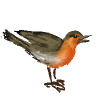 Xiwikj bird birds oiseau uccello Sticker