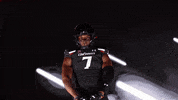 University Of Cincinnati Flex GIF by Cincinnati Bearcats
