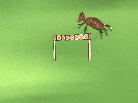 GIF by Kunstkwartier