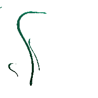 Eel Sea Creatures Sticker by Justin