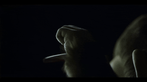 clubstephenking giphyupload stephenking themonkey GIF