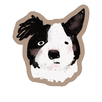 Bordercollie Sticker