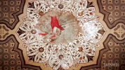 mughal-e-azam bollywood GIF