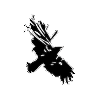 BlacksBrewery gin maverick blacks kpa Sticker