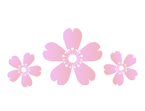 ParisTokyoBH giphyupload sushi beverly hills cherry blossom Sticker