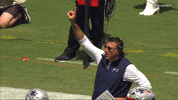 Mike Vrabel Nfl GIF by New England Patriots