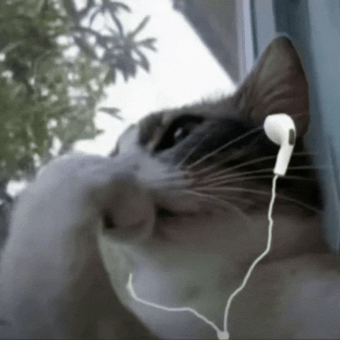 Vibing Chill Out GIF