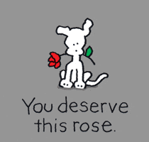 GIF by Chippy the Dog