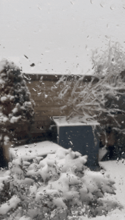 marianthe_loucataris giphygifmaker GIF