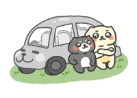 Fetch Cool Cat GIF