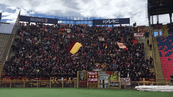 football bologna-roma GIF by AS Roma