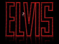 guitar man trouble GIF by Elvis Presley