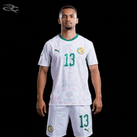 Fifa World Cup Caf GIF by Respective